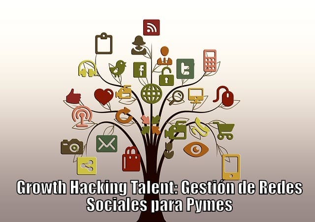 Redes Sociales para Pymes